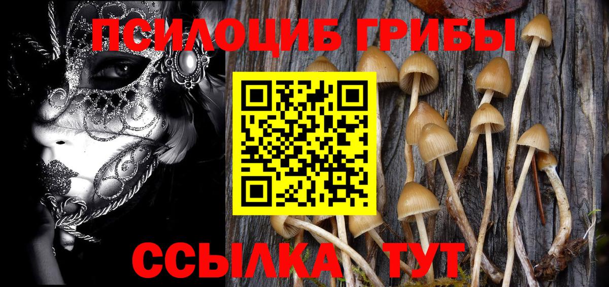 Рязань  Галлюциногенные грибы GOLDEN TEACHER  Вход с VPN 