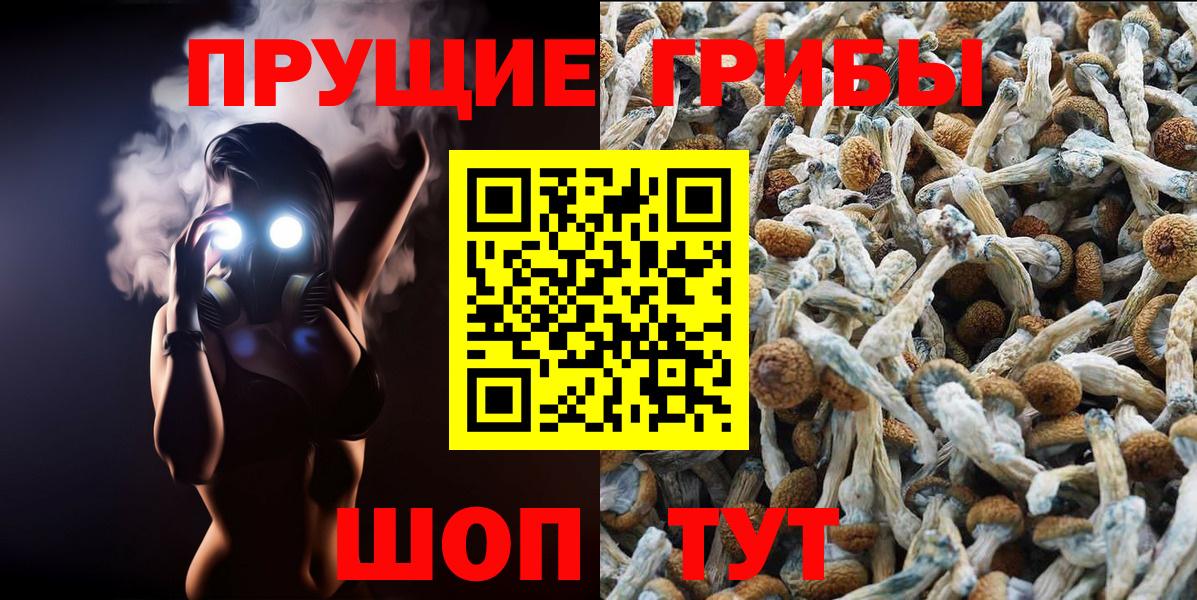 Псилоцибиновые грибы мухоморы Рязань